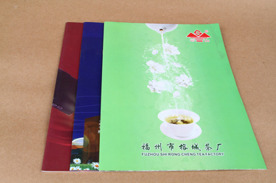 宣傳品設計-宣傳畫冊 產(chǎn)品畫冊 企業(yè)畫冊 A416P 500本 公司畫冊 宣傳冊.